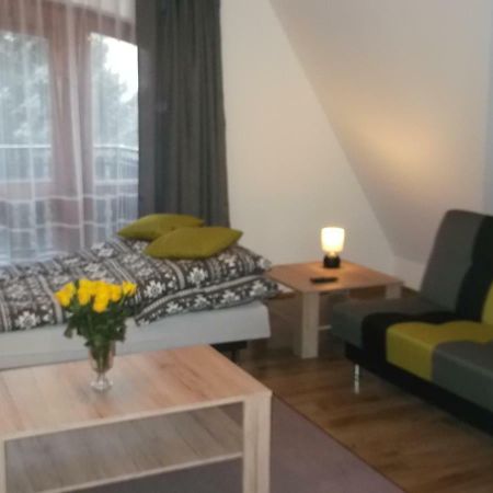 Apartamenty Lejowka Хохолув Екстериор снимка